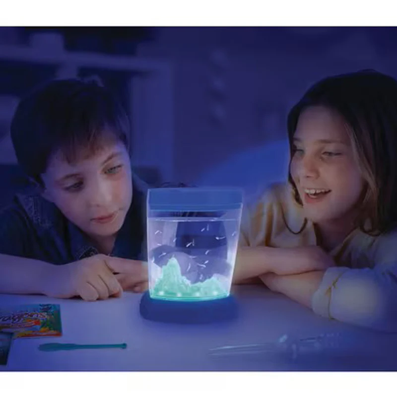 Aqua Dragons Colour Changing Box Kit with LED Lights - Image 4